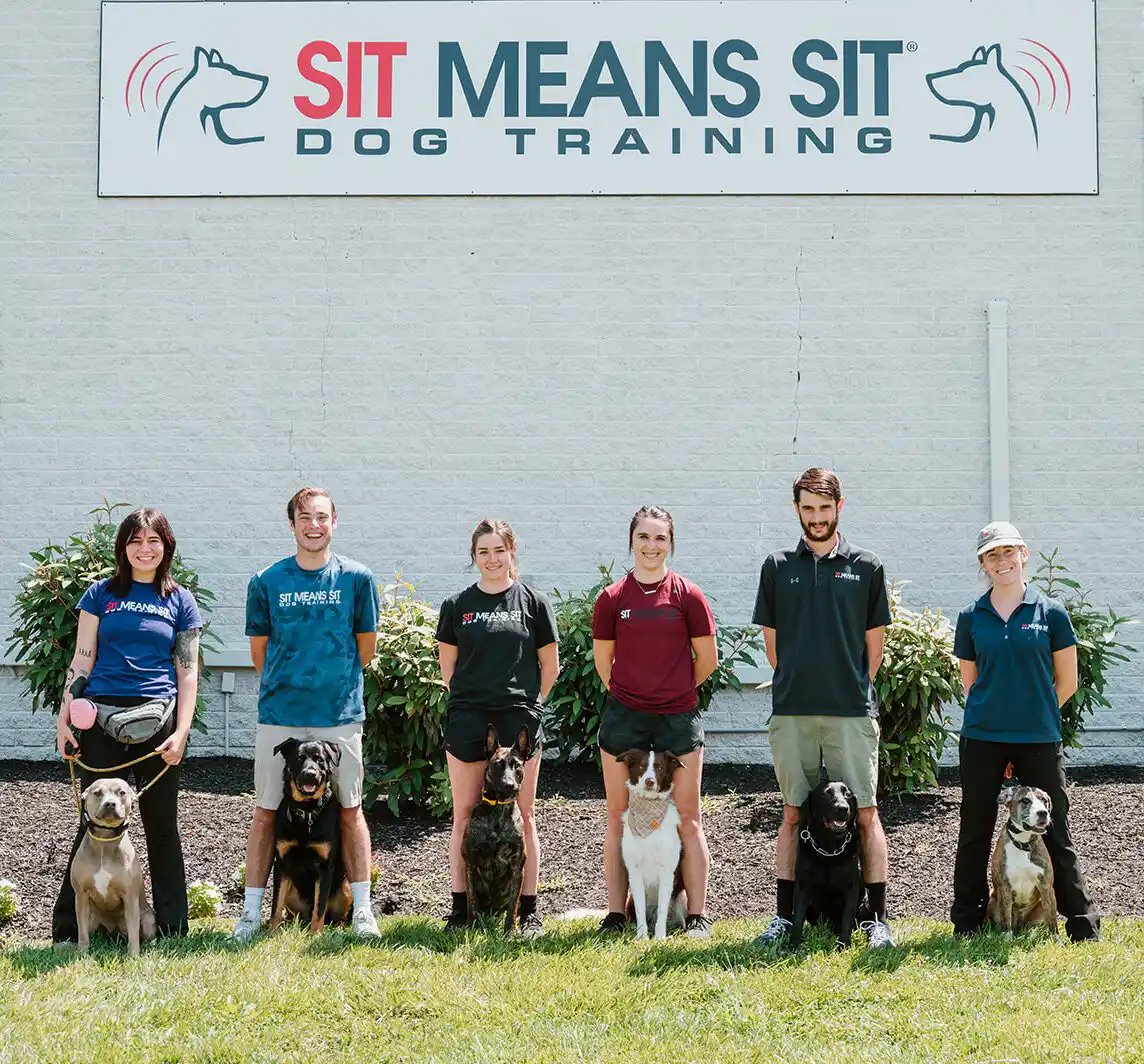 philly dog trainers